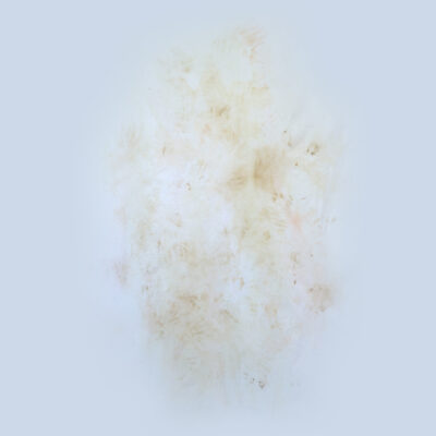 Jacobus Capone, Self Portrait Shaped by a Mountain Range, 
Residual earth & dust from the Karwendel mountains wiped off of the face onto linen. Traces of sweat & tears, 
198 x 185cm,
$28000 
