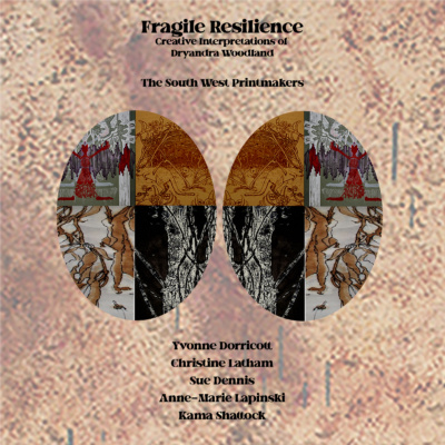 Fragile Resilience
