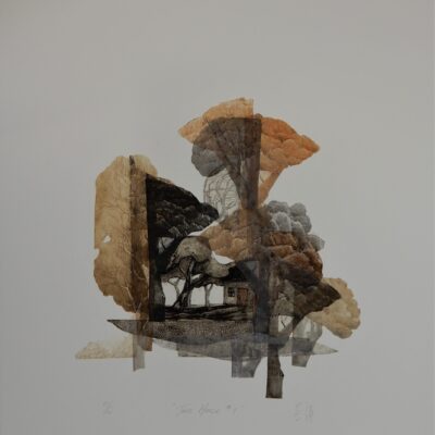 Elmari Steyn, Boat House I, Line Etch, burnished and stage-bite Aquatint, with Chine-Collé plus hand-colouring, 82 x 62cm