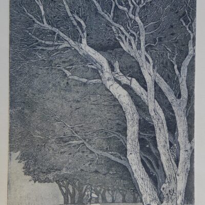 Elmari Steyn, Umbra: S33o 38.347’/E115o 01.567’
Copper Plate Line Etch & Stage Bite Aquatint
70 cm x 50 cm

