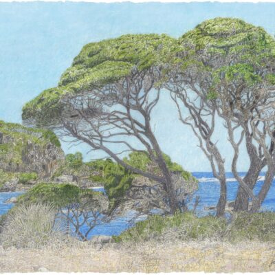 Joel Smoker, Point Marchant, Pastel pencil and chalk, 80 x 100cm   