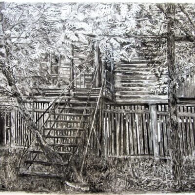 Miriam Innes, RECLAIMED: Journey back to NatureCharcoal and resin on aluminium composite93 cm x 124 cm
