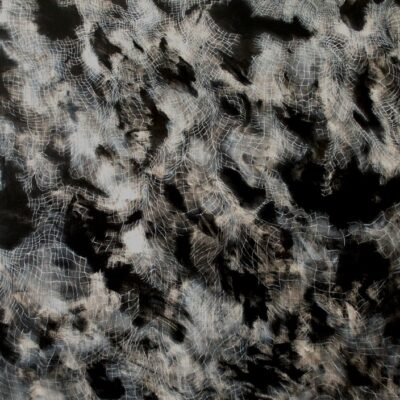 Mel Dare, The Stories I Tell Myself 2
acrylic paint and ink on Belgium linen
168 cm x 122 cm

